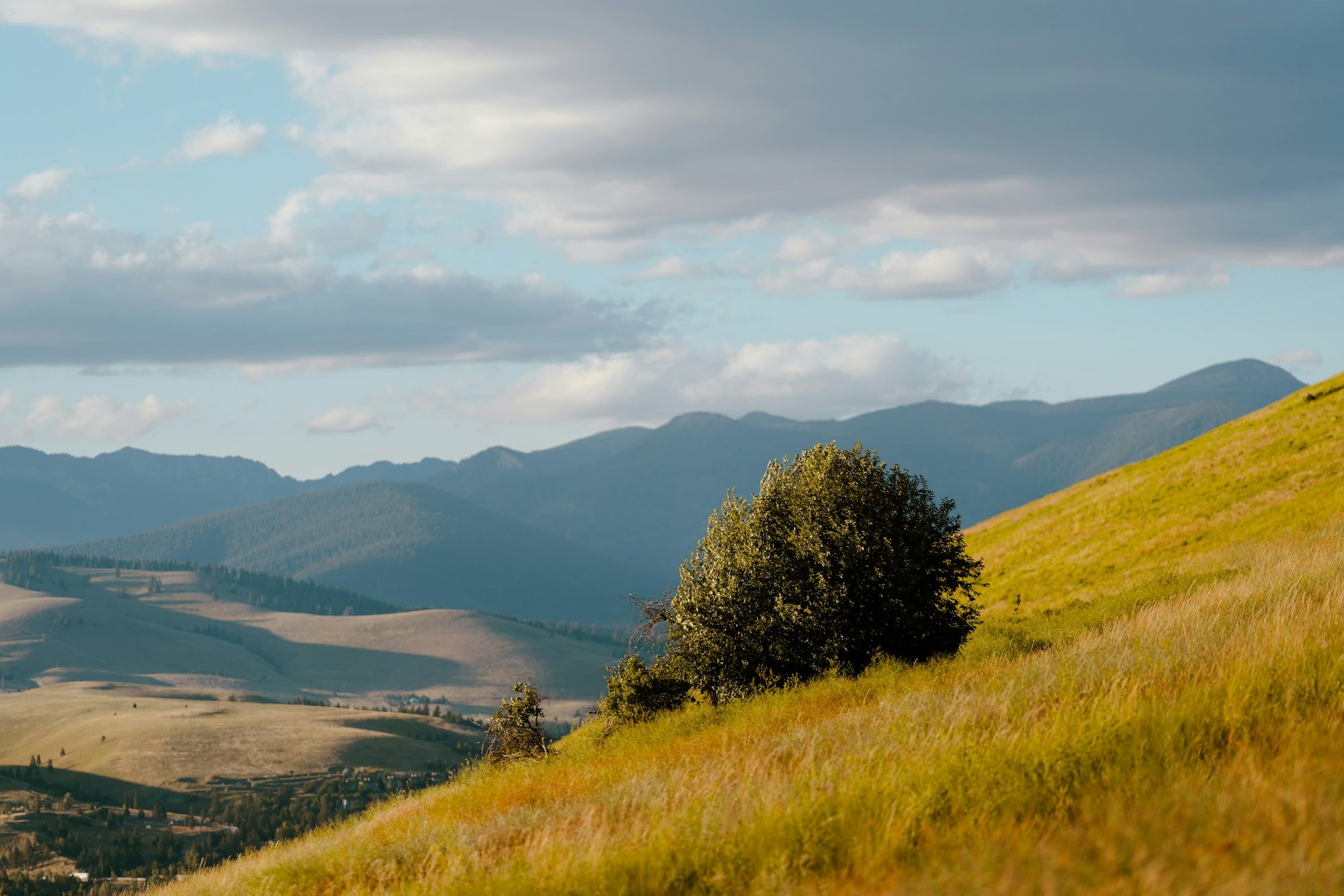 Hills west of Missoula